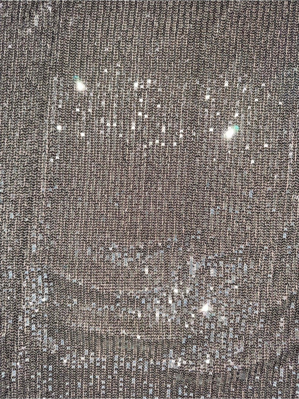 Dressed in LALA Silver Sequin Maxi Skirt - Picture 5 of 5